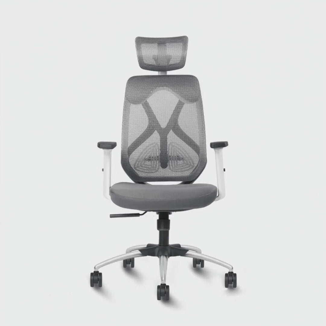 Aaramya™ Hector Pro Work Chair