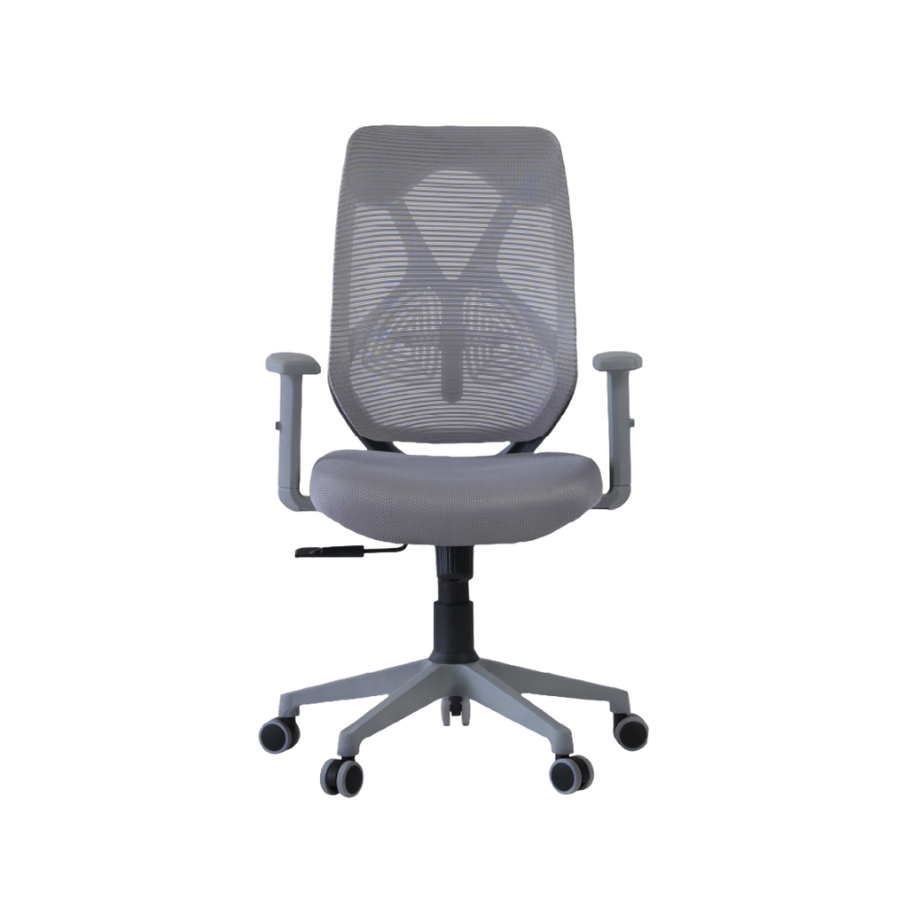 Aaramya™ HectorPro Mid Back Chair