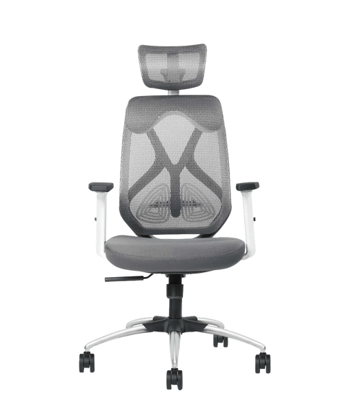 Aaramya™ HectorPro Work Chair – Bold Lines. Commanding Comfort.