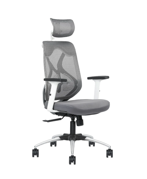 Aaramya™ HectorPro Work Chair – Bold Lines. Commanding Comfort.