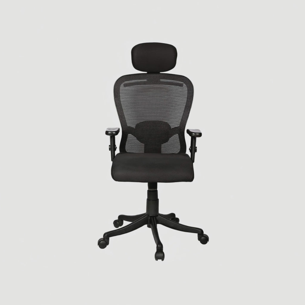 Aaramya™ ButterlyCurve Ergonomic Chair – Artful Arcs. Airy Comfort.